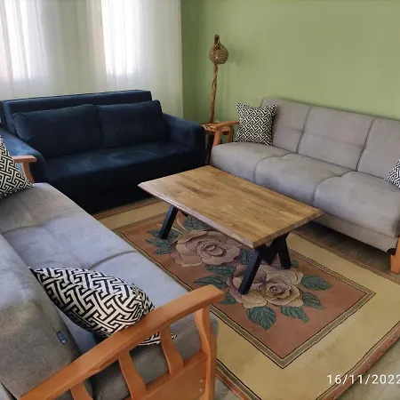 Mint Manor Apartment *